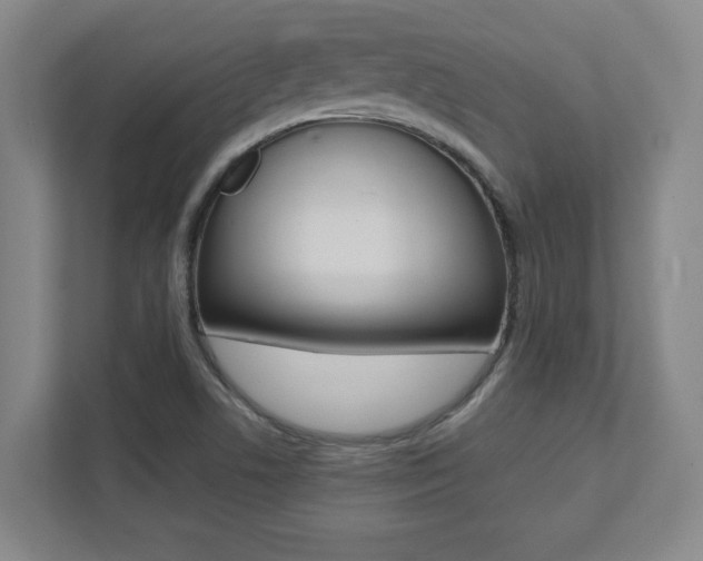 X0000112041506200908031032