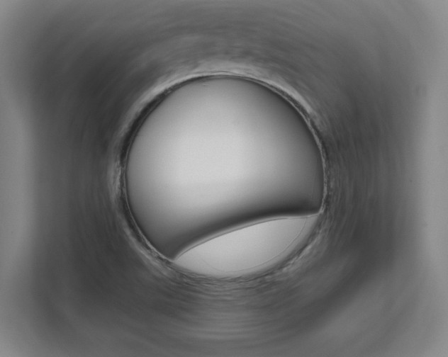 X0000112041507200908031032