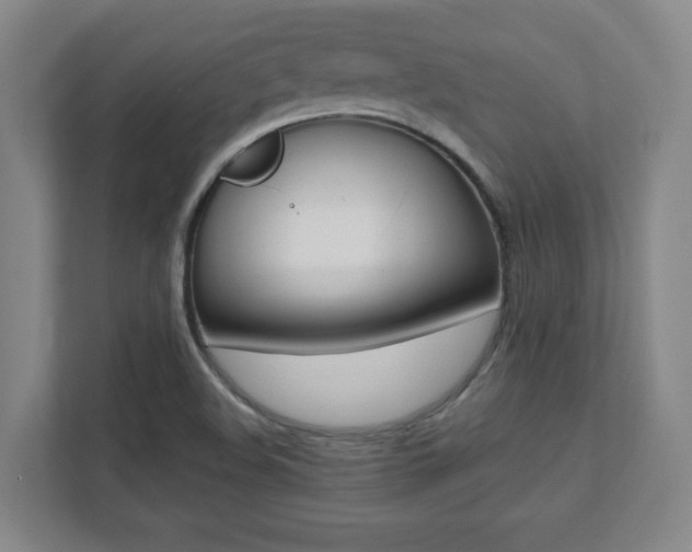 X0000112041508200908031032