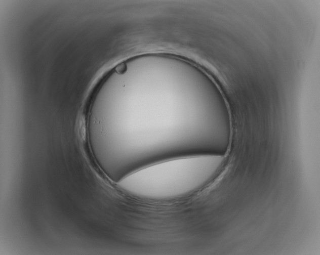 X0000112041509200908031032