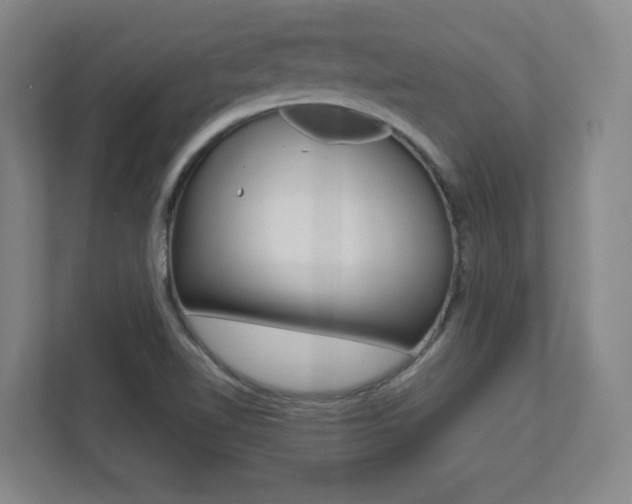 X0000112041510200908031032