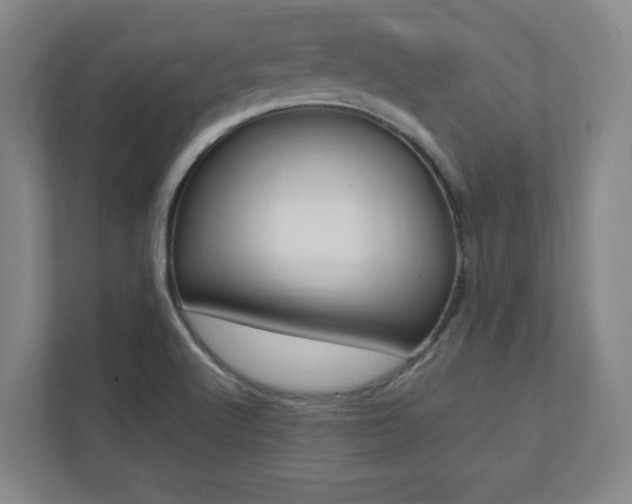 X0000112041512200908031032