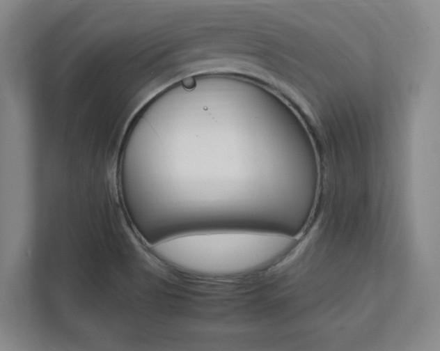 X0000112041513200908031032