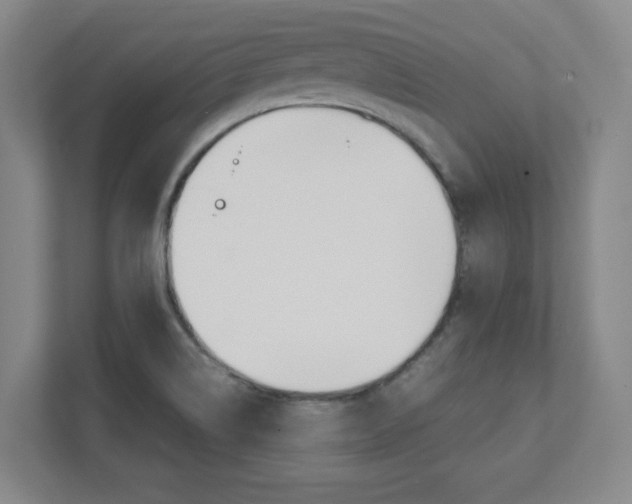 X0000112041514200908031032