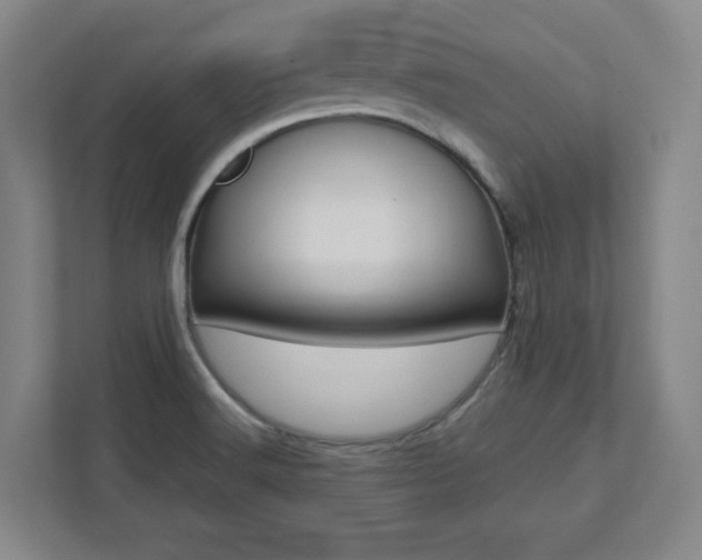 X0000112041516200908031032