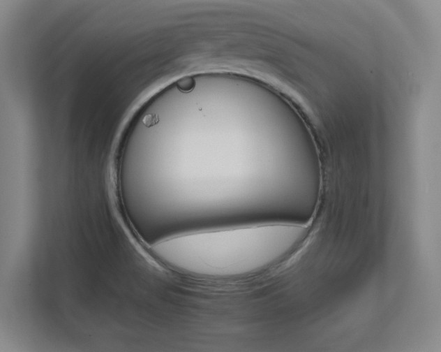 X0000112041517200908031032