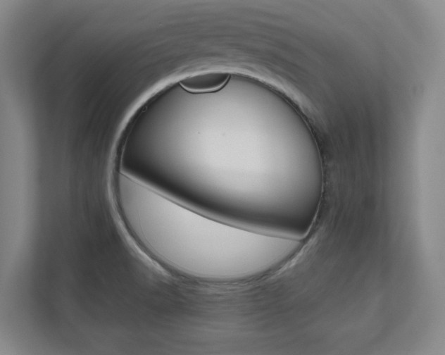 X0000112041518200908031032