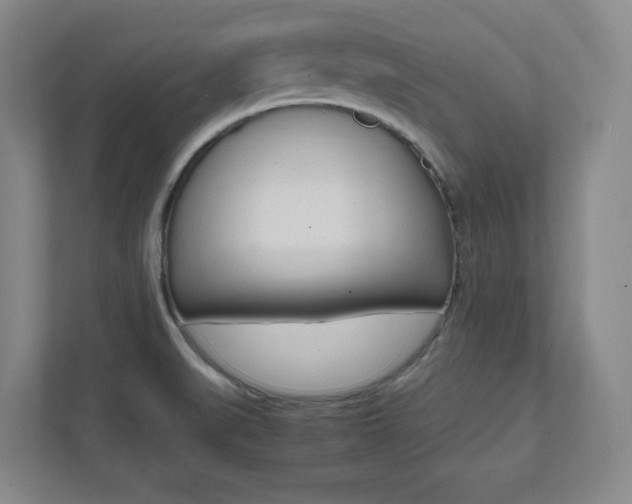 X0000112041519200908031032