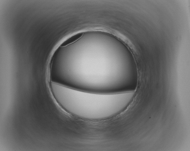 X0000112041520200908031032
