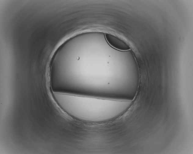 X0000112041522200908031032