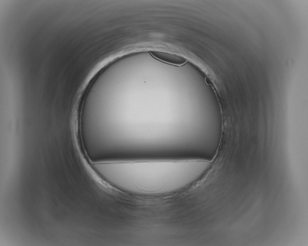 X0000112041523200908031032