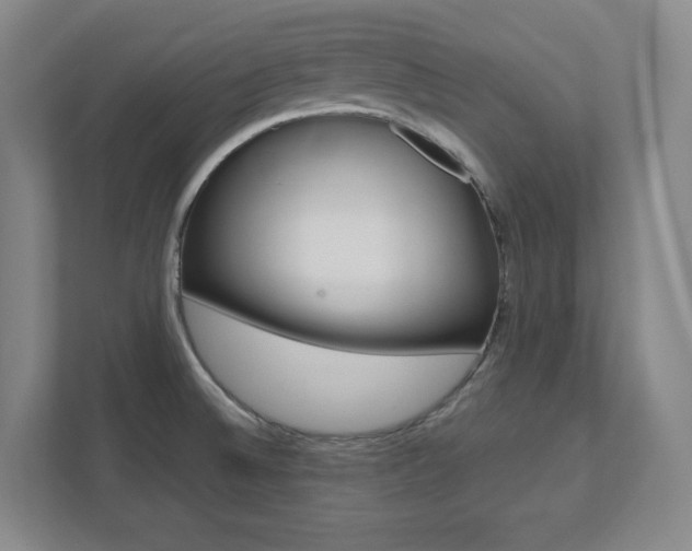 X0000112041524200908031032