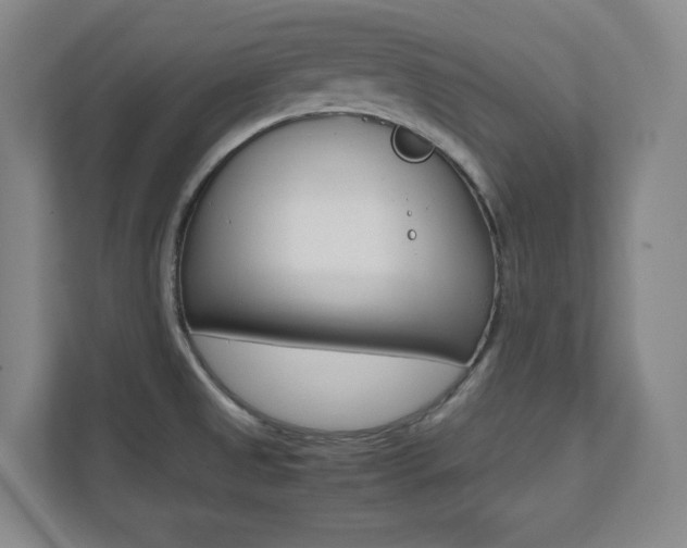 X0000112041525200908031032