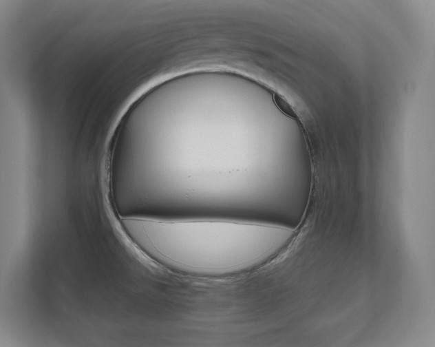 X0000112041526200908031032