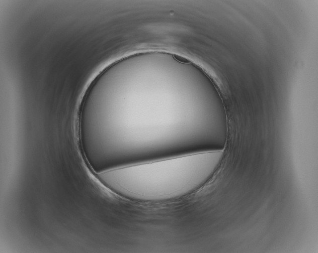 X0000112041527200908031032