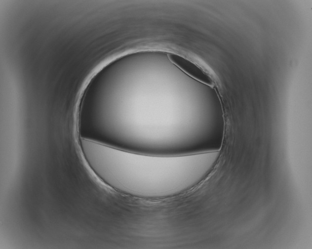 X0000112041528200908031032