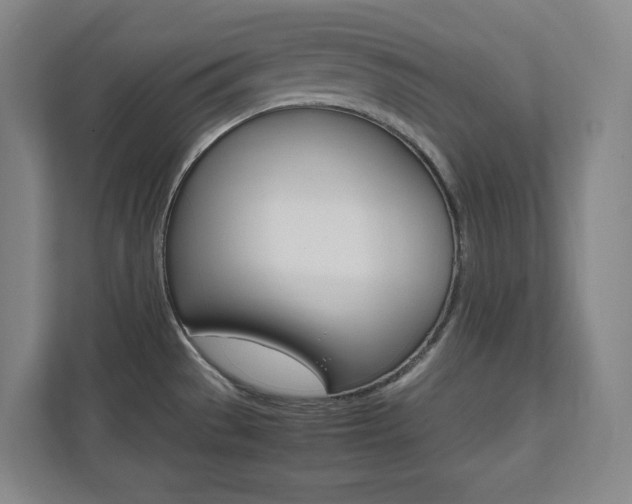 X0000112041529200908031032