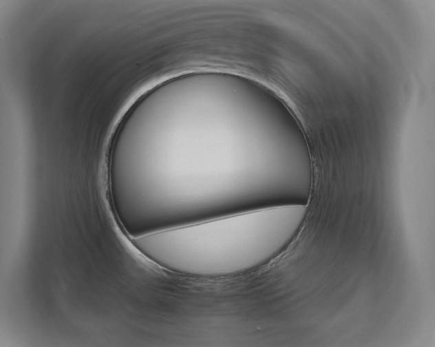 X0000112041531200908031032