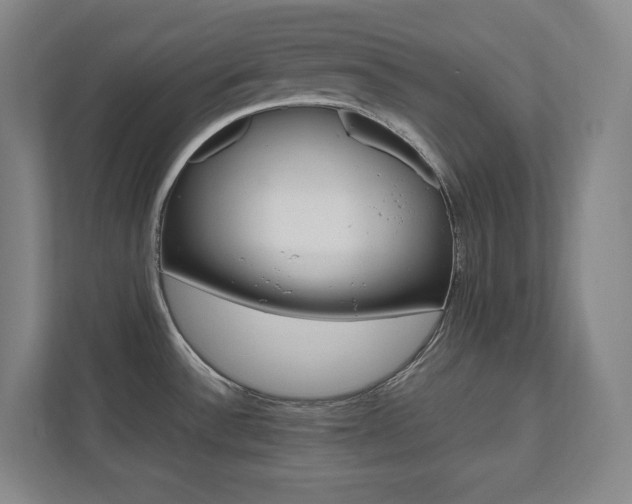 X0000112041532200908031032
