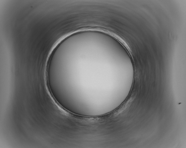 X0000112041533200908031032