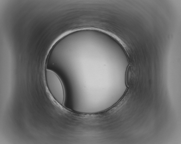 X0000112041534200908031032
