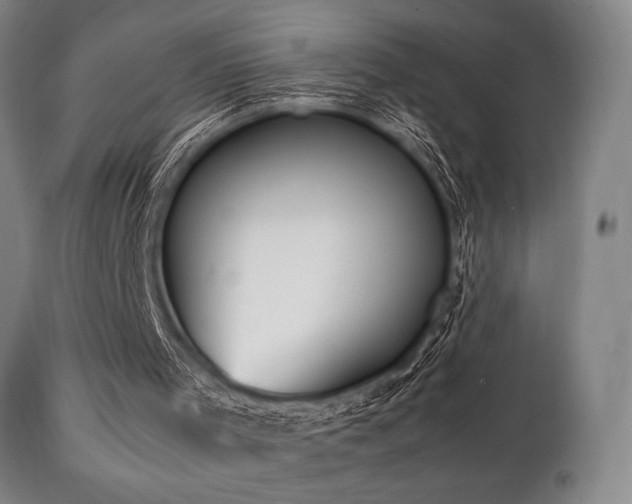 X0000112040001200908031528