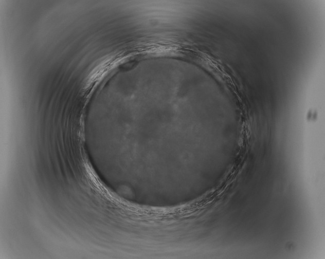 X0000112040002200908031528