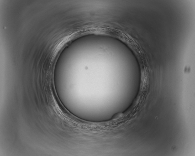 X0000112040003200908031528