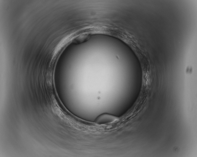 X0000112040004200908031528