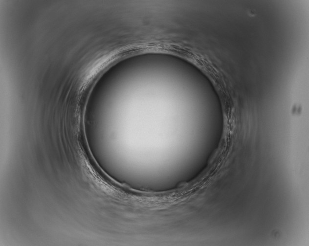 X0000112040005200908031528
