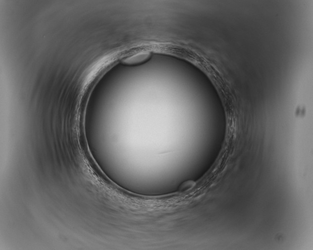X0000112040006200908031528