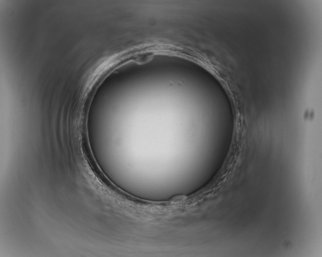 X0000112040007200908031528