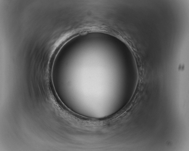X0000112040008200908031528