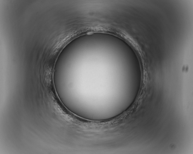 X0000112040009200908031527