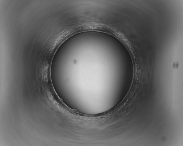 X0000112040010200908031527