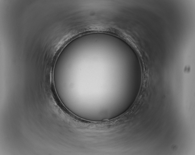 X0000112040011200908031527