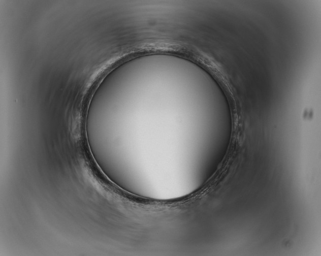 X0000112040012200908031527