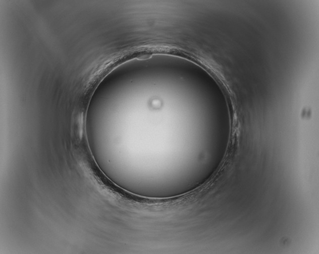 X0000112040013200908031527