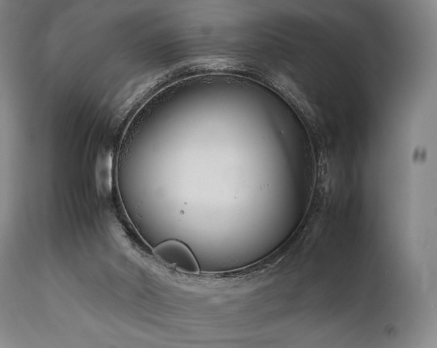 X0000112040014200908031527