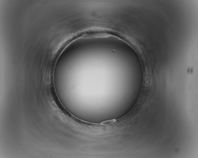 X0000112040015200908031527