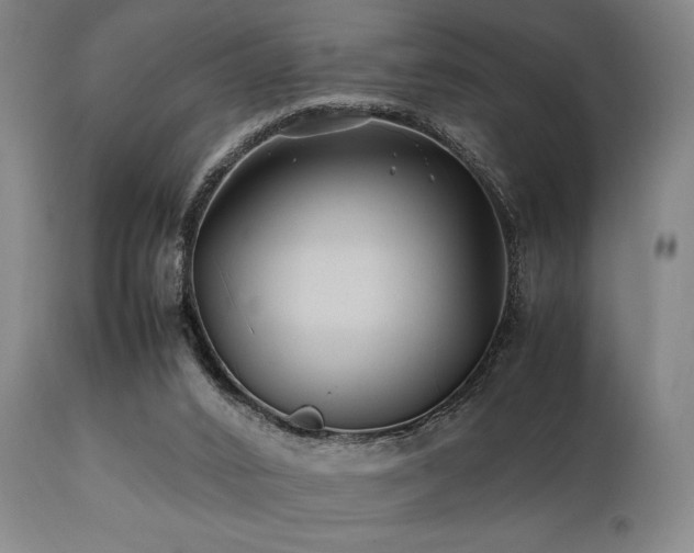 X0000112040016200908031527