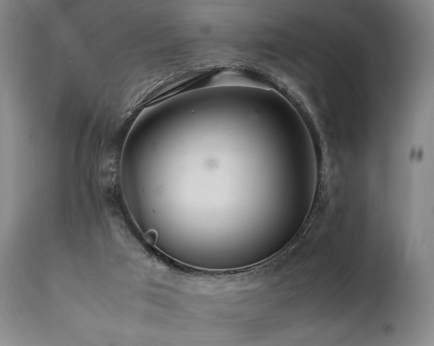 X0000112040017200908031527