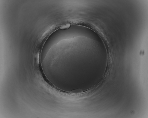 X0000112040019200908031527