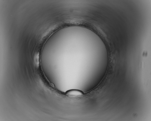 X0000112040020200908031527