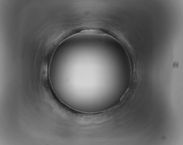 X0000112040021200908031527