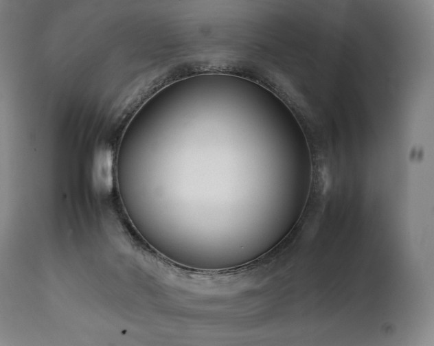 X0000112040022200908031527