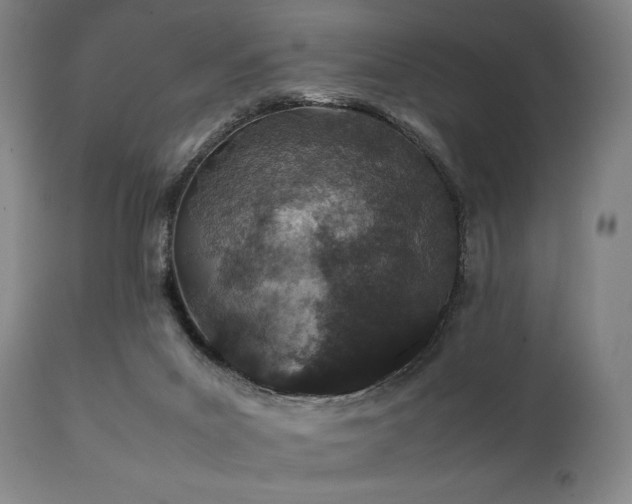 X0000112040023200908031527