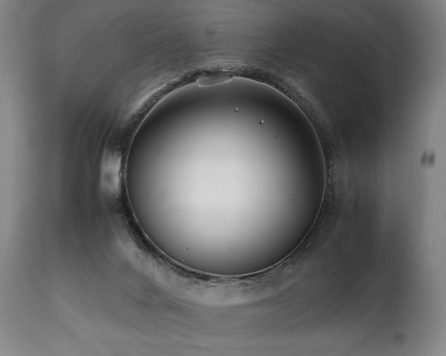 X0000112040024200908031527