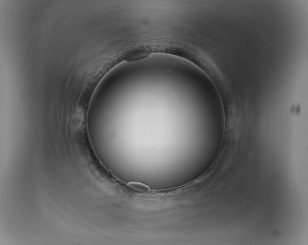 X0000112040025200908031527
