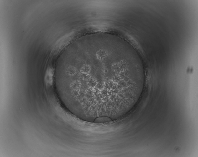 X0000112040026200908031527